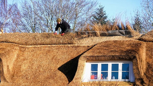 laying the thatched roof