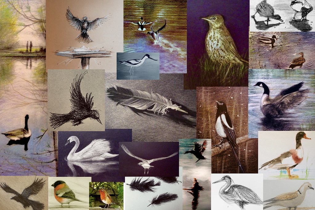 Collage of drawings by jmsw of our feathered friends.