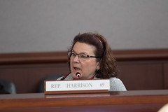 Sate Representative Cindy Harrison asks questions of Office of Policy and Management Commissioner Jeffrey Beckham during an Appropriations Committee meeting.