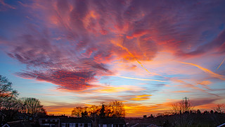 Sunset, Little Sandhurst, 01 February 2024 (2)-Enhanced-NR