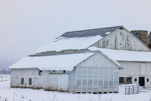 Amish Barn in Michigan