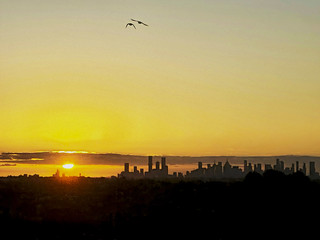 Sunset over Melbourne CBD with homing birds . . .
