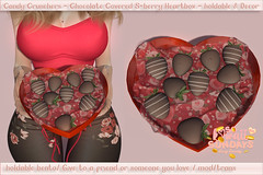 Chocolate covered s-berries SKS