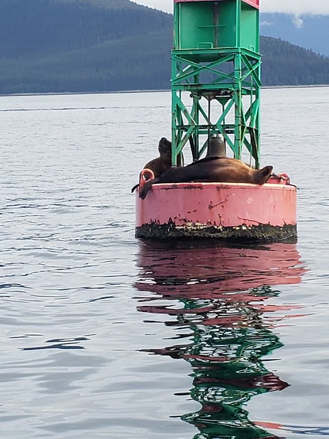 Alaska Trip Whale Watching tour