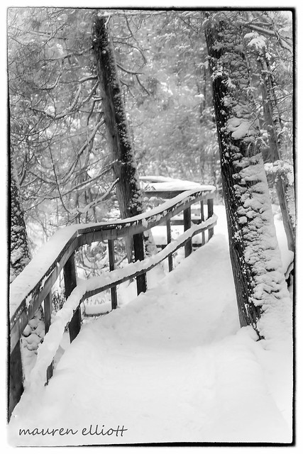 Snow Covered Boardwalk