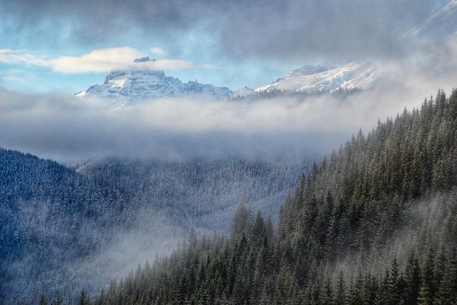 Mount Rainier vailed