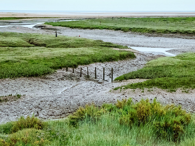 Thornham Marshes and Old Harbour 01