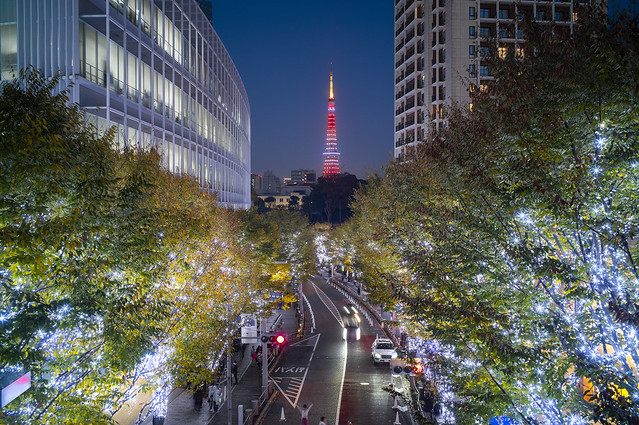 Tokyo Tower and Rapongi Lights