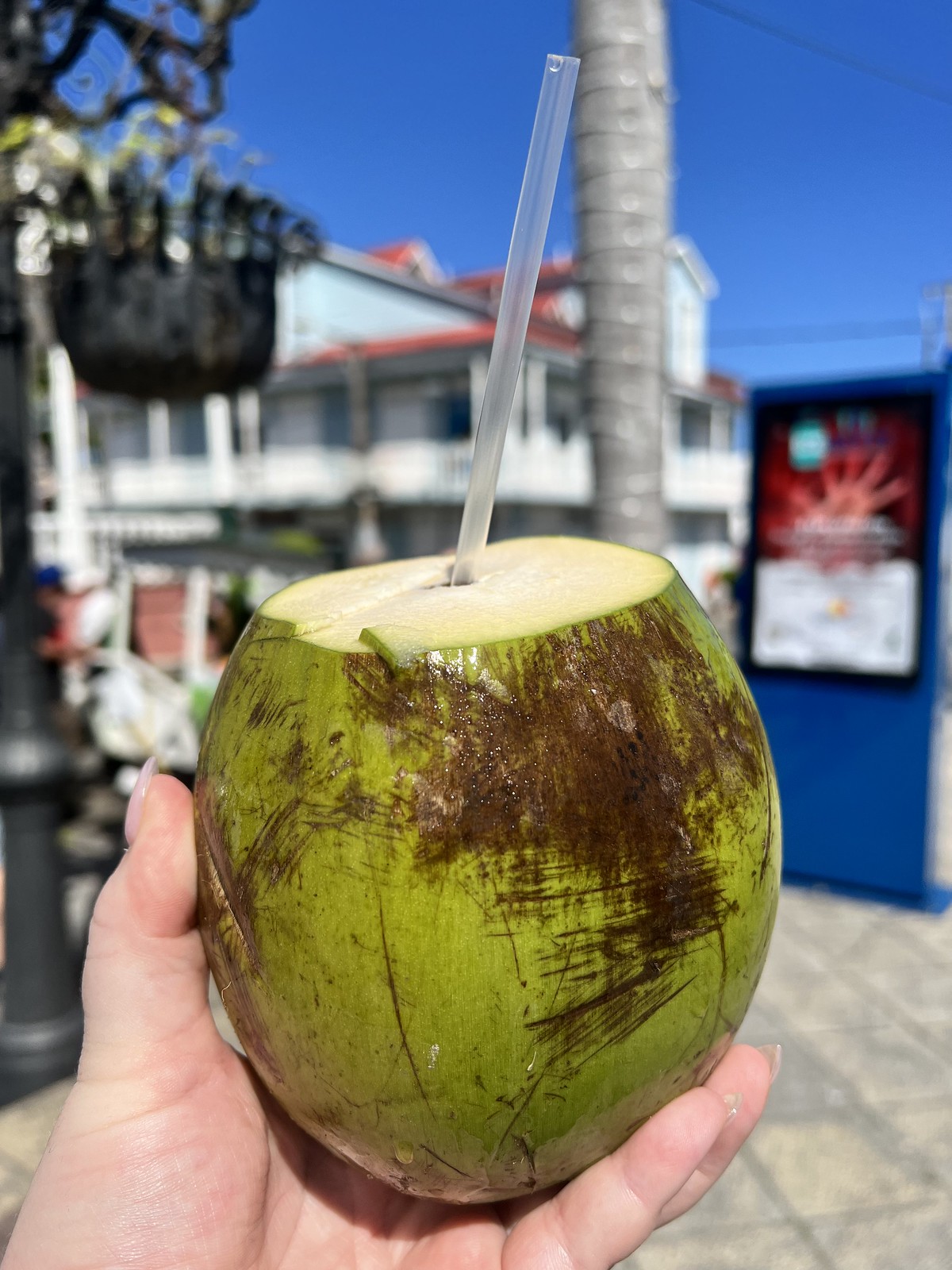 Carnival Magic