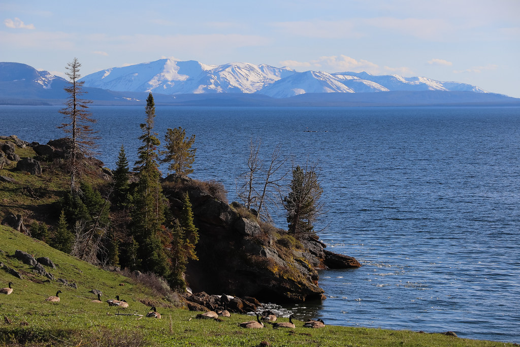 Views of Mount Sheridan and Yellowstone Lake from Mary Bay