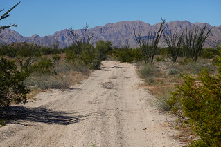 Baja road into the desert SR600480