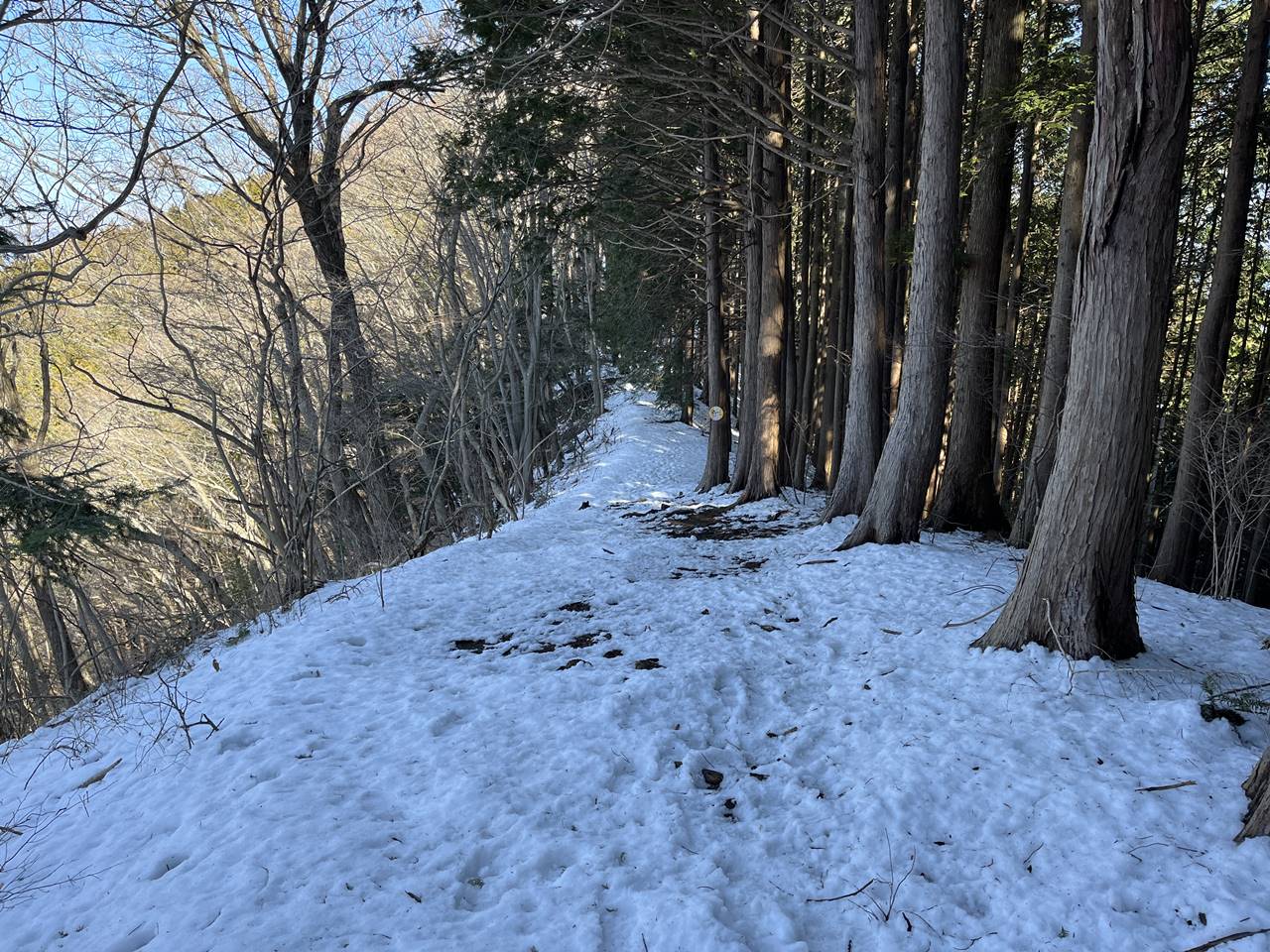 石老山〜高塚山 雪が残る高尾山域へ 雪山登山