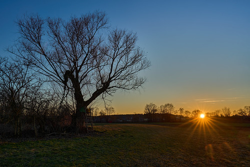 Sunset on the field by joachim.kracher, austria a7c2 baum colours 32 24mm fürstenfeld festbrennweite fullfram
