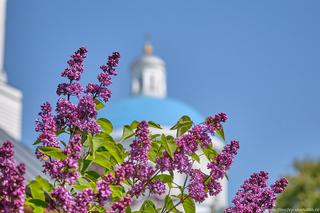 Серпухов (3)