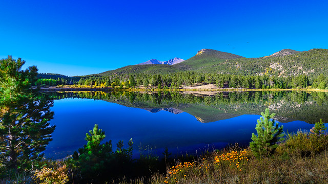 The Lovely Lily Lake, Colorado