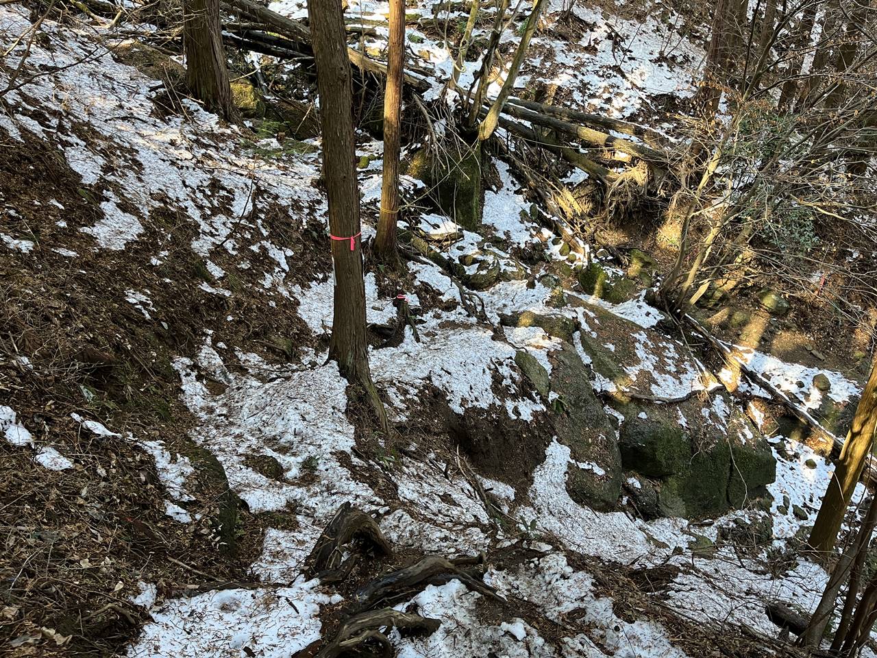 石老山〜高塚山 雪が残る高尾山域へ 雪山登山
