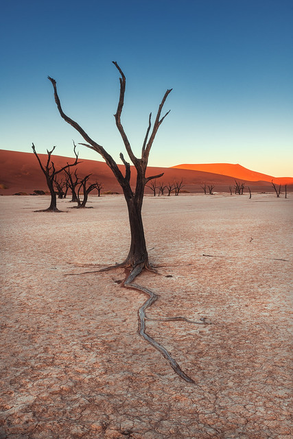 Namibia - Dead End