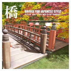 Bridge for JapBridge for Japanese style
