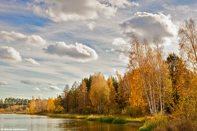 Lake Beloye in the Ryazan region.