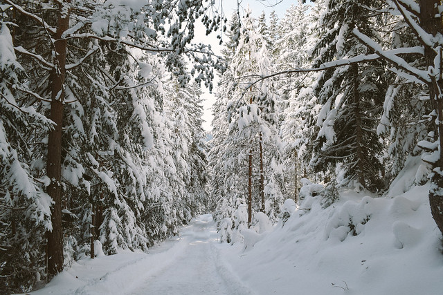winter wonderland in Austria