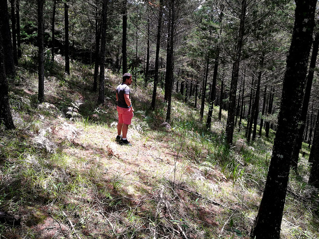 Yo en el bosque de descenso de la laguna Don Manuel, por Daniel / Me in the forest, descending from the Don Manuel lagoon, by Daniel