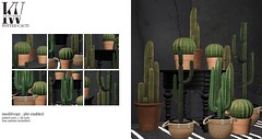 KraftWork - Potted Cacti @ ｅｑｕａｌ１０