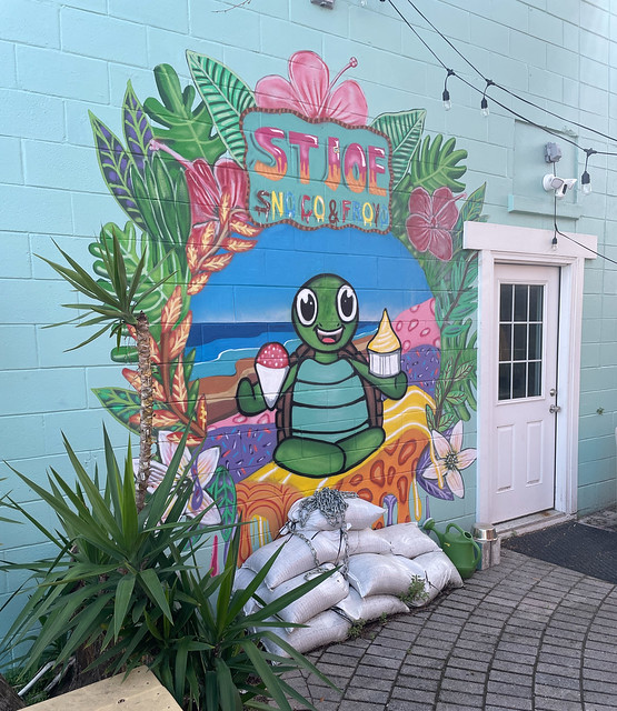 Snoco & Froyo Mural Port St Joe FL