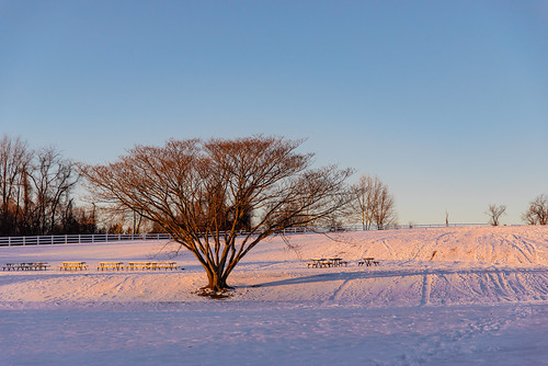 park winter sunset snow cold ice nikon snowy january carousel d610 f3545 2024 ed g fullframe nikkor dslr fx vr cmos 2485mm 24mp afsnikkor2485mmf3545gedvr