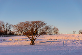 Snowy Carousel Park - 24-85mm F3.5-4.5 - Nikon D610