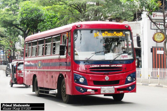 NE-1623 Walapane Depot Ashok Leyland - Lynx 4200 C type bus at Kandy in 12.11.2023