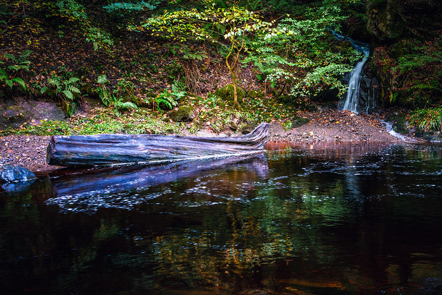 A small water fall flows into the River Calder, Lochwinnoch, Renfrewshire, Scotland, UK