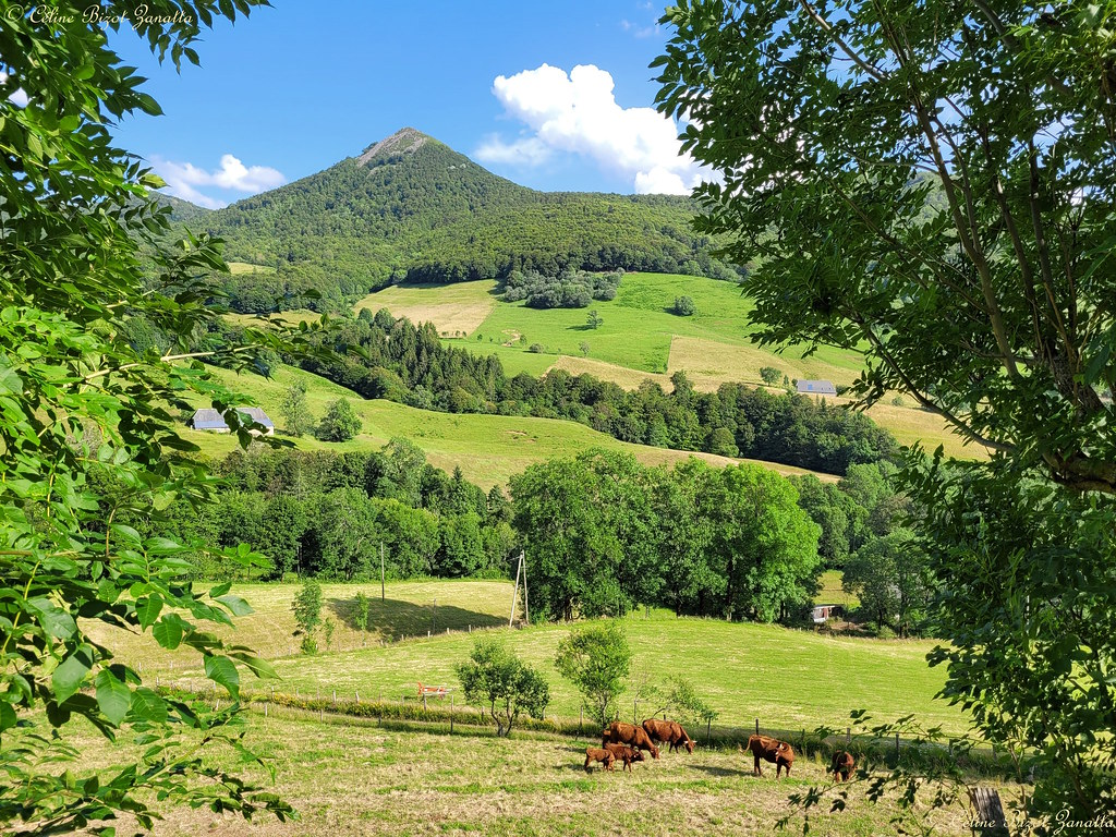 Le Puy Griou dans son écrin estival - Cantal - Auvergne - France - Europe ( On explore February 11, 2024)