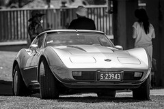Moonshine16-2023-1350-Edit.jpg - 2023 Moonshine Run