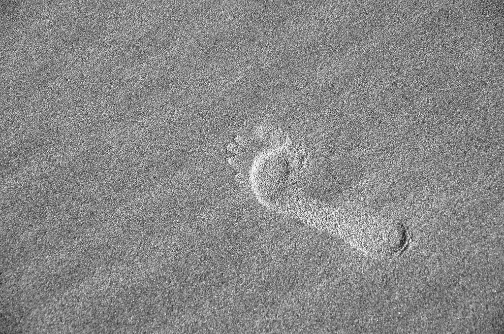 February Footprint