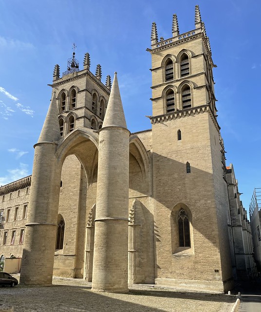 Cathédrale Saint-Pierre (Montpellier, France)