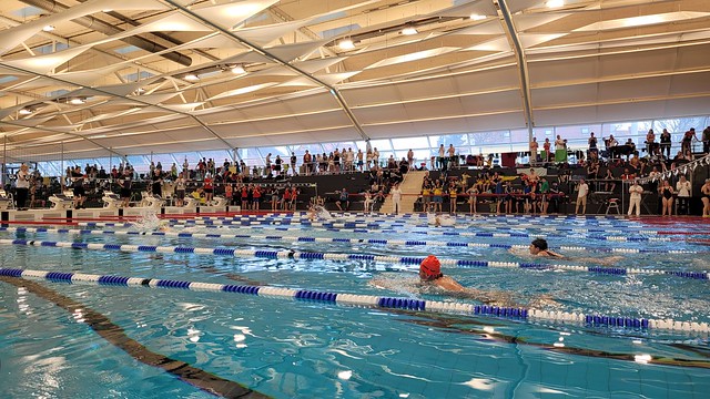 Steirische-Landes-Schwimmmeisterschaften mit SOÖ Beteiligung