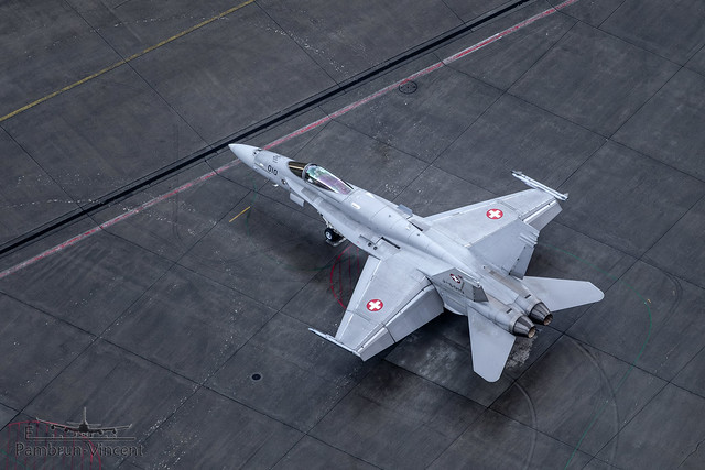 J-5010 . McDonnell Douglas F/A-18C Hornet . Switzerland Air Force . Meiringen Air Base [LSMM]
