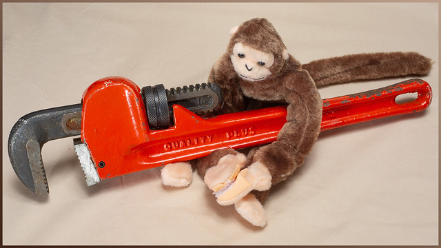 M | A monkey and his monkey wrench -[ FAFM '24 ]-