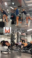 GLUTE MAX EXERCISES