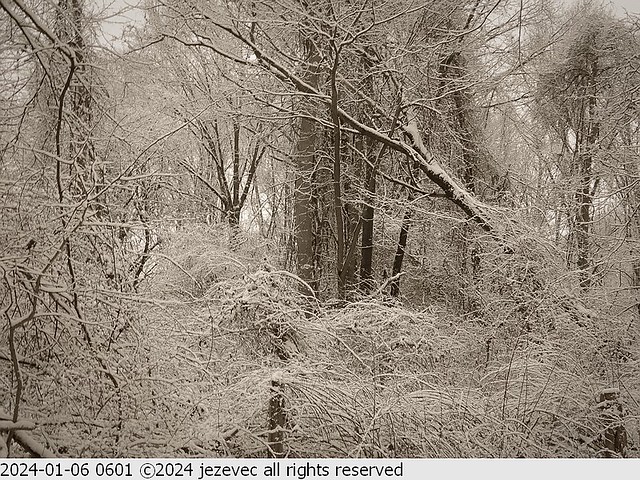 2024-01-06 0601 Eagle Creek Indianapolis - Winter Snow