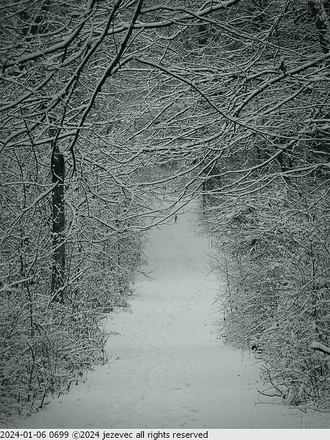 2024-01-06 0699 Eagle Creek Indianapolis - Winter Snow