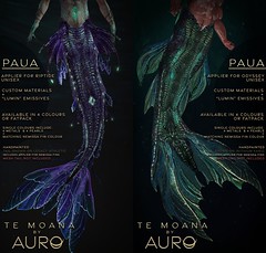 OUT NOW at Abnormality Event. "Paua" by Auro : Te Moana.