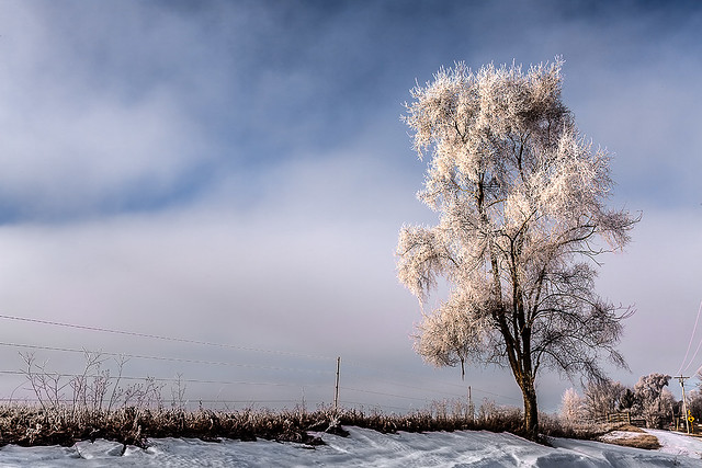 Rime Frost_112