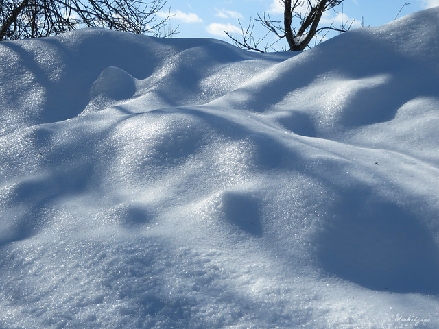 Snowy landscape - Paysage enneigé
