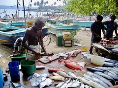 Markt auf Sri Lanka (01/2004)