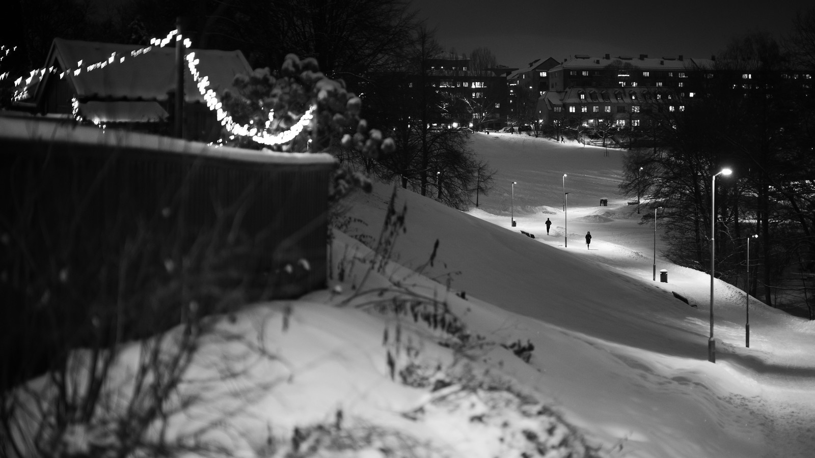 Night walk in snow