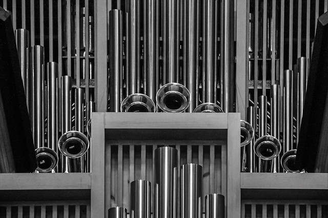 20240213_F0001: Abstract organ pipes