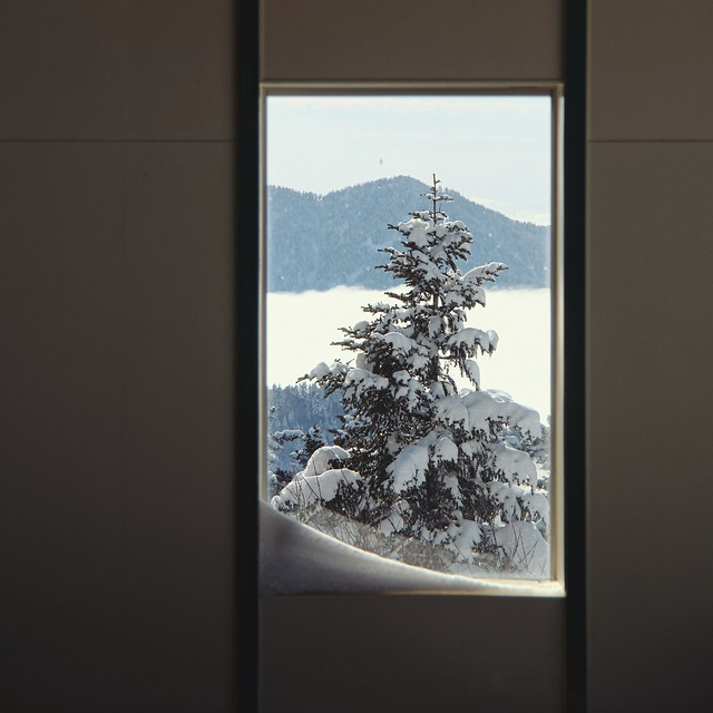 Through winter's window