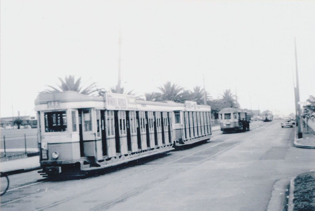 P-Class Trams in Rosebery near (Sweetacres Park)