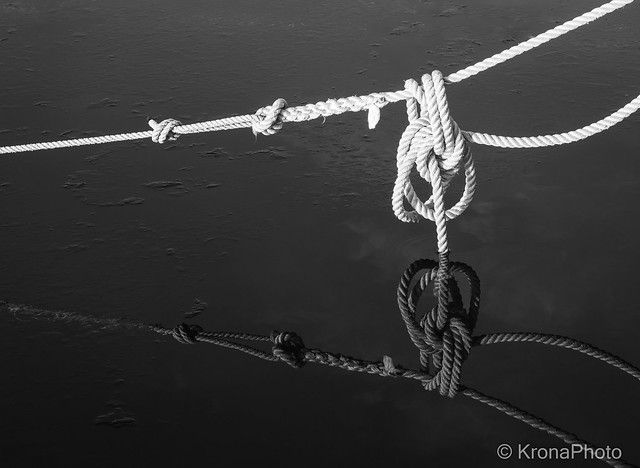 Vinter harbour reflection, Husvik, Norway